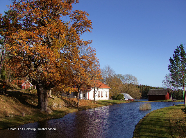 Autumn view from Upperud 25.Oct.2015. 58°48′49″N 12°26′15″E (approx. address: Upperud 2, 464 40 Åsensbruk, Sverige)