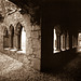 Bective Abbey cloisters (pinhole)