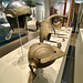 Rijksmuseum van Oudheden 2020 – Roman helmets