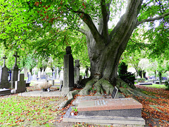 Old  as the cemetry