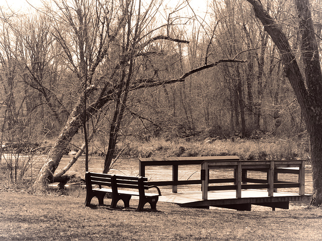 A Seat by the River