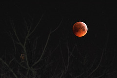 Super Wolf Blood Moon Eclipse.