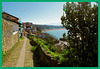 Vistas desde el Puerto Viejo de Algorta (+2PiP)