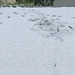 Spuren im Schnee