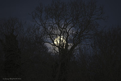 Moonset