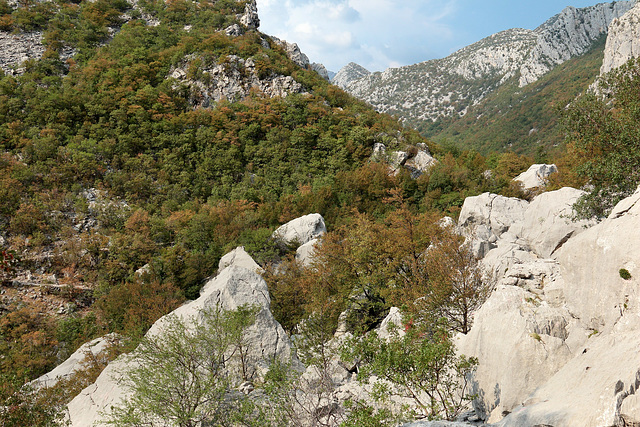 Nationalpark Paklenica - Der Weg von Anica kuk nach Starigrad (9)