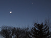 Morning Moon and Planets