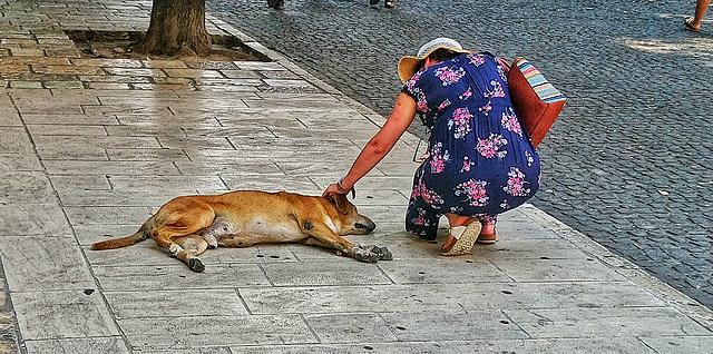 Spreading the love on a hot day in Corfu