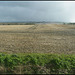 fields near Wantage