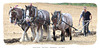 Poundfield Farm Heavy Horses ploughing team Stud Farm Newhaven 15 9 2021