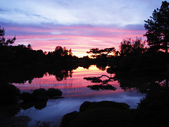 Sunset from the Japanese Garden