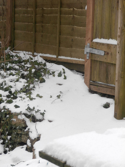 The snow covers the steps to the gate in the middle of the fence, so Ann and Peter can pop over easily