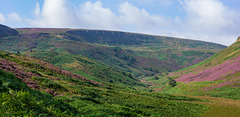 Crowden Great Brook panorama (2 photos stitched)