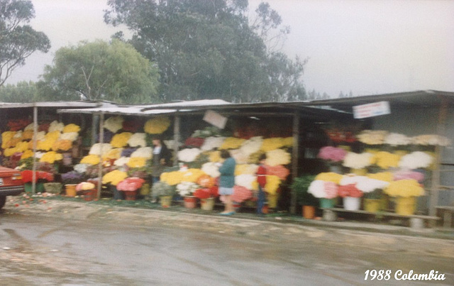 18 To Guatavita: Roadside Flower Stalls