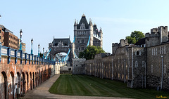 Tower und Tower Bridge am Nachmittag