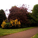Grosvenor Park.