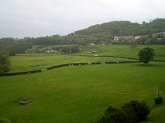 Rural landscape.