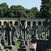 Brompton cemetery