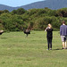 stalking emus