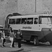 Amphi -Bus