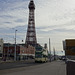 Heritage Tram In Front Of Blackpool Tower