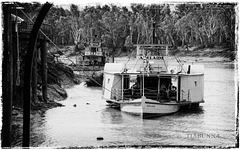 More on the Murray paddle steamers