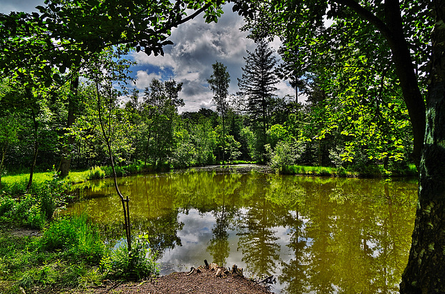 Ein See aus der Keltenzeit ... A lake from the Celtic period...