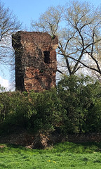 DE - Weilerswist - Ruine von Burg Großvernich