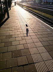 Walking on the platform