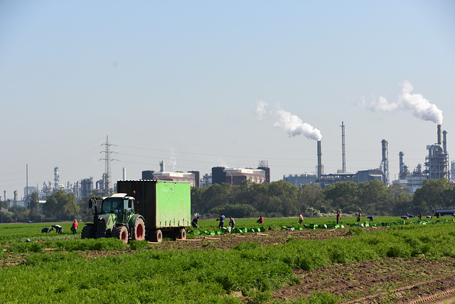 Ludwigshafen am Rhein - Landwirtschaft und Industrie (BASF)