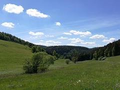 Blick ins Steinbachtal zwischen Grroßneundorf und Gräfenthal