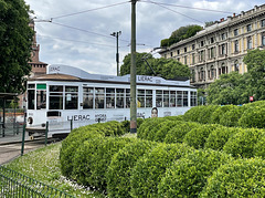 the white tram
