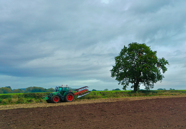 Morning ploughing