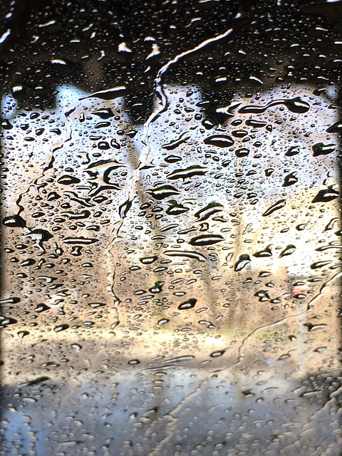 spring comes to the car wash