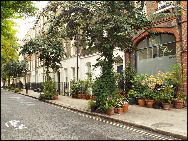 Bloomsbury street gardens
