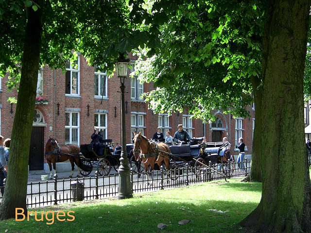 Horse tour with Bruges caption 3