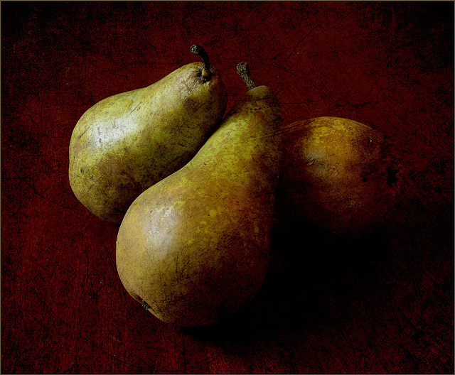 Still Life: Pear study