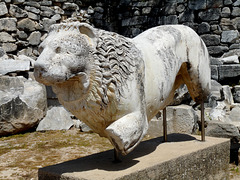 Didyma- Temple of Apollo- Stone Lion