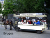 Bruges horse bus with caption