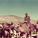 Qashqai nomads of Fars, Iran, 1977
