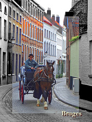 Horse tour with Bruges caption