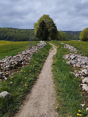 Petit chemin menant aux Rousses Jura