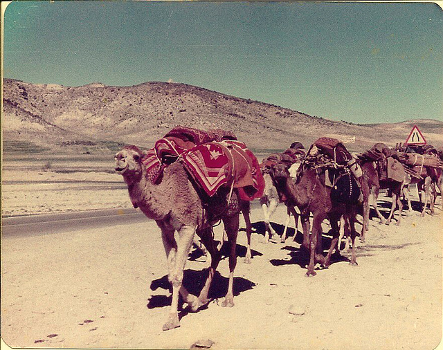 Fars caravan, Iran, 1977