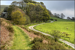 On the track to Kelswick Farm, Wythop Valley