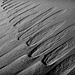 foot steps in the sand