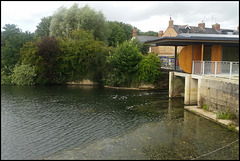 low water at Osney