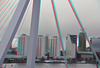Erasmusbrug Rotterdam 3D