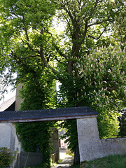 Großneundorf -Tor zum Kirchhof mit uralten Kastanien
