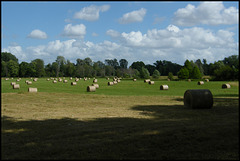 summer hay bales