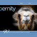 ipernity homepage with #1511
